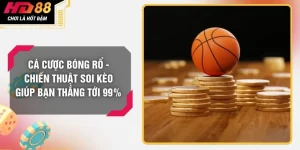 Cá Cược Bóng Rổ - Chiến Thuật Soi Kèo Giúp Bạn Thắng Tới 99%