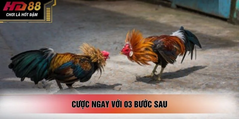 Cược ngay với 03 bước sau
