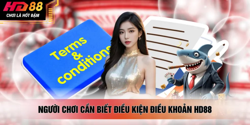 Người chơi cần biết điều kiện điều khoản HD88