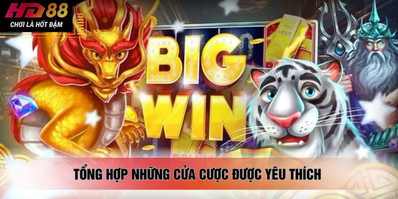 Tổng hợp những cửa cược được yêu thích